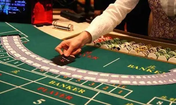 74 bet login 74 bet login